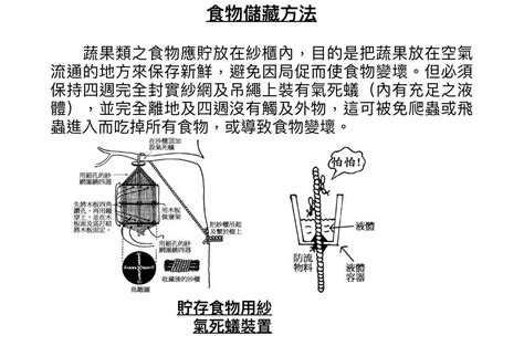 氣死蟻|【氣死蟻】氣死蟻的終極攻略：製作方法與超簡單消滅撇步